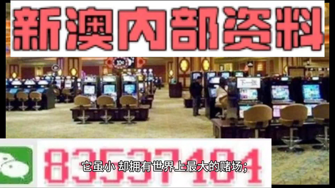 2024澳门正版精准资料大全,精选资料解析大全高端版240.323