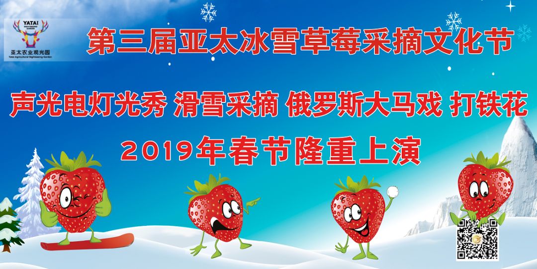 2004年澳门天天开好菜大全,富强解释解析落实完美版240.382