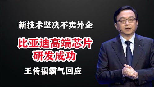 王传福最新视频，揭示成功背后的故事