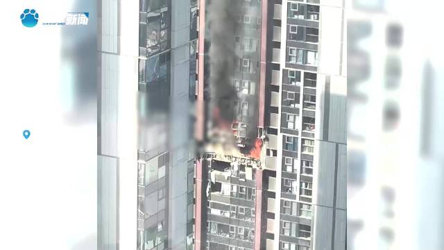 最新深圳坠楼身亡事件，深度探究背后的原因与反思