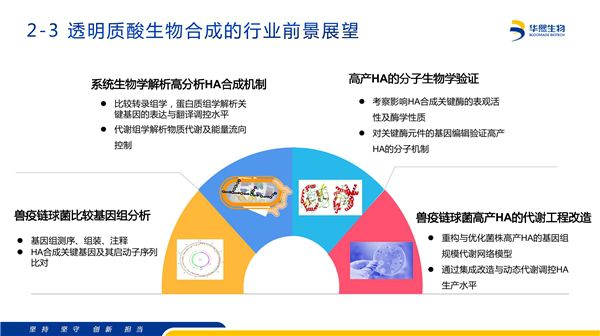 卓影科技最新公告，引领行业变革，开启新征程