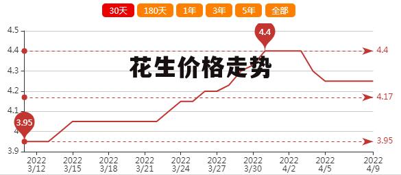 广西玉林花生最新价格动态分析