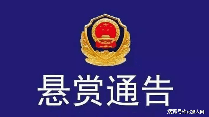 连城制毒通缉名单最新，深度解析与公众警示