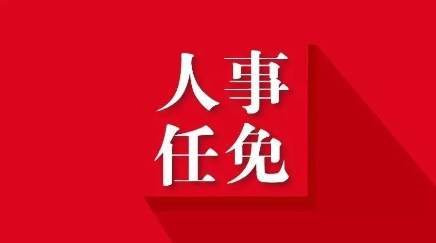 国家最新人事任命，新时代的领航者